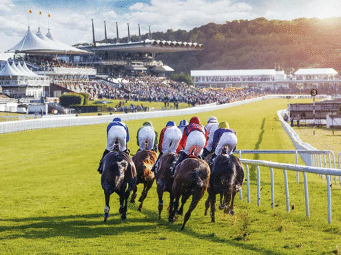 Racecourse Attendances Rise in First Quarter of 2024