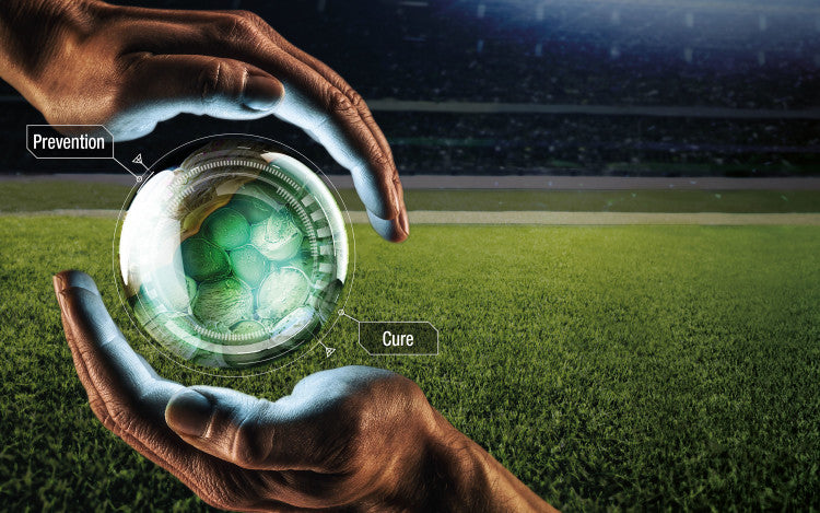 Ascernity graphic mr.jpg