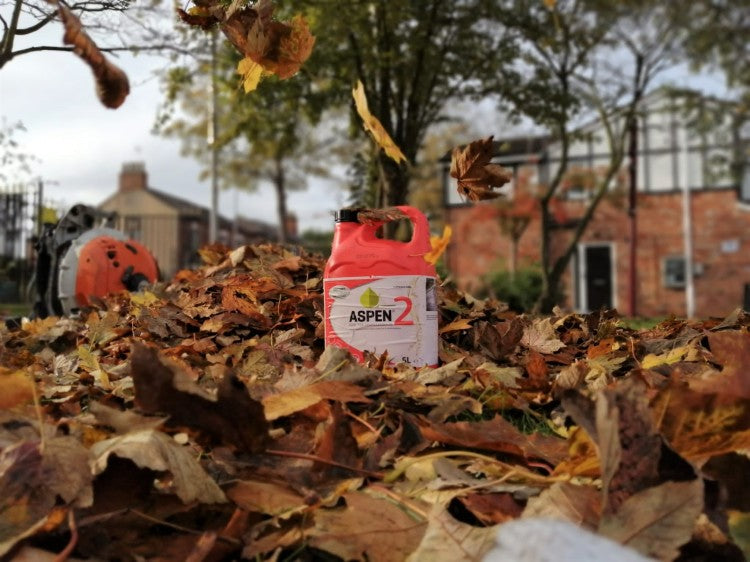 Aspen 2 - Chester Uni.jpeg