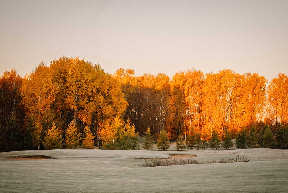 Sports Turf Agronomy Advice - December 2025