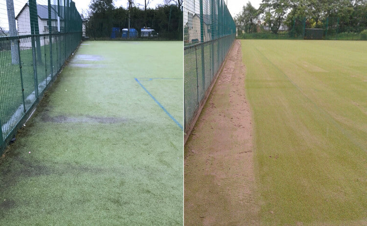 Before & After Comparison Image