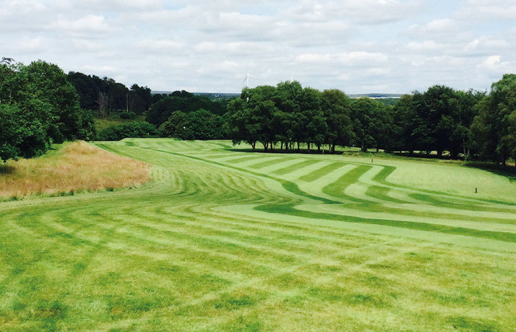 Blackwood GC stripes