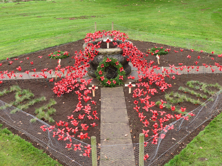 Brooksby College Poppy