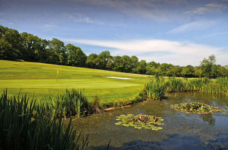 Brynhill Golf Club pond