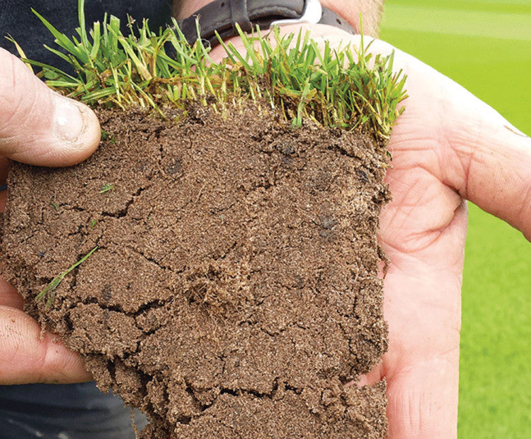 Carbon_shrewsburytown-soilsample.jpg
