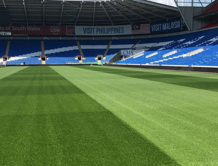 Cardiff City FC.JPG