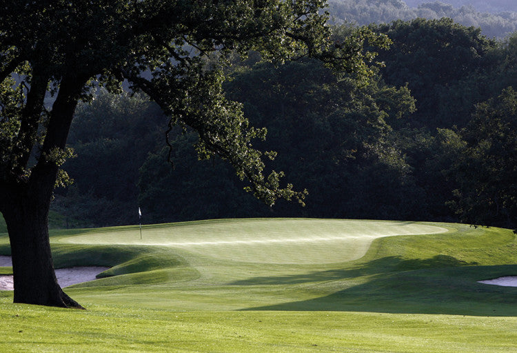 Celtic-Manor Green-dew