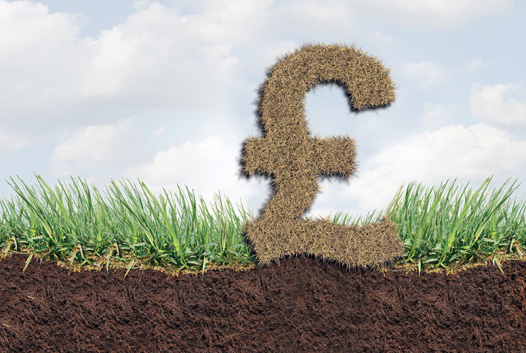 Chafer_soil-profile_pound.jpg