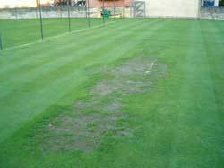 October Tennis Diary 2015