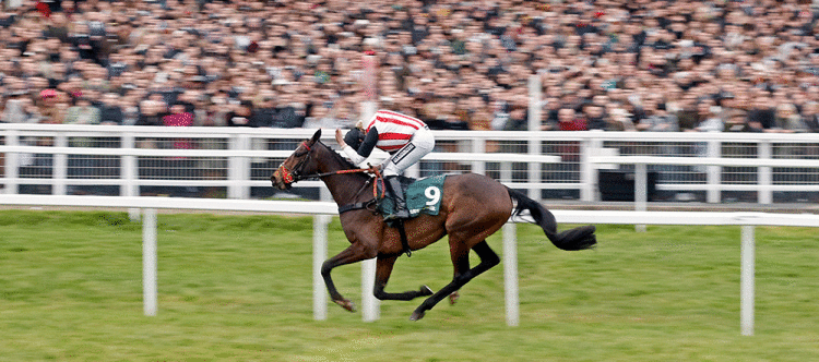Cheltenham-NYD-Hector-Javile-courtesy-The-Jockey-Club.gif