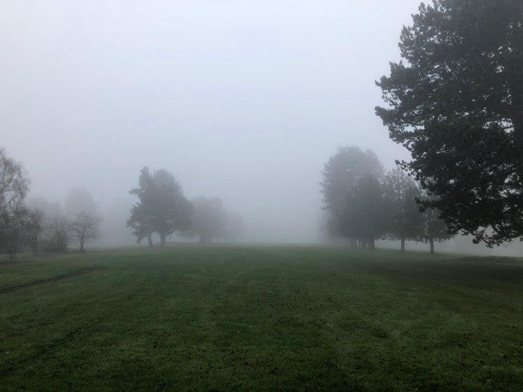 Chipstead Golf Club_fog.jpg