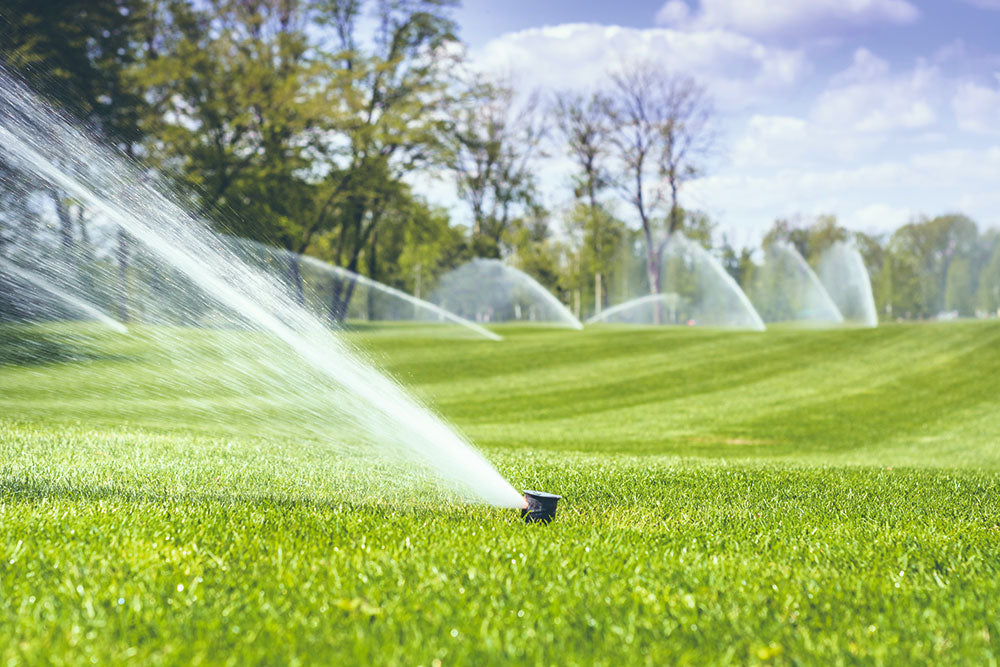 Sustainable water management: PART 1 - Getting more from every drop