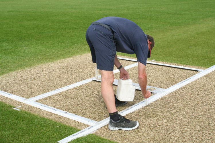 July Cricket Diary 2010