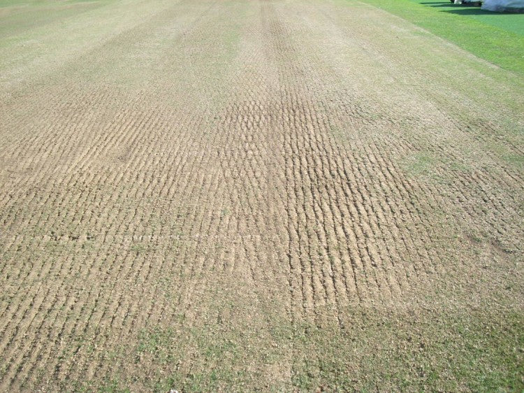 Cricket Grounds SepOct09 027.jpg