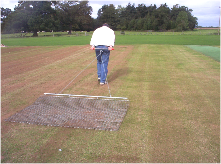 Cricket Renovation