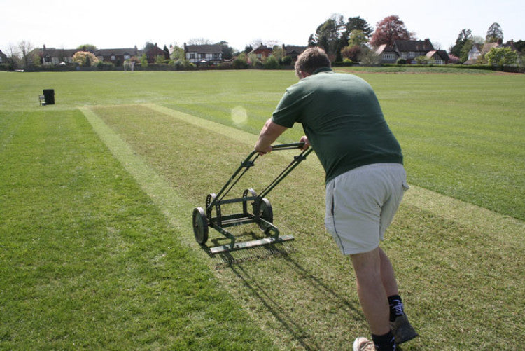 CricketRenovation-Scarifying