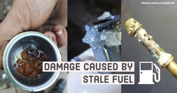 Damage caused by stale fuel.jpg