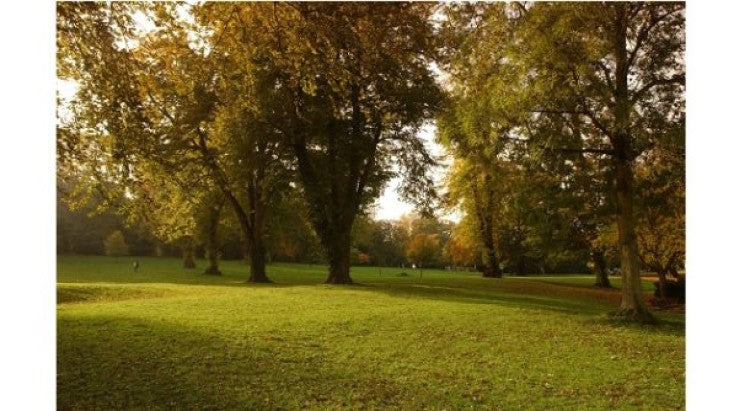 DDC grounds team data tag