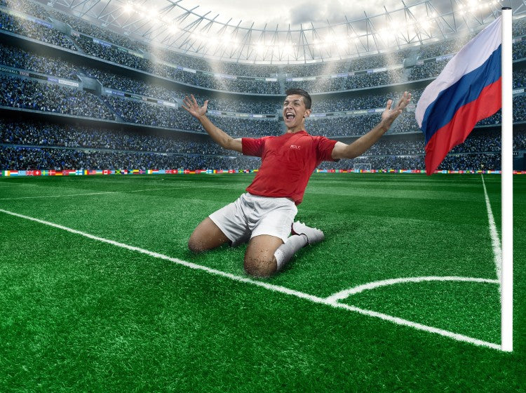 DLF Russia WC image 1