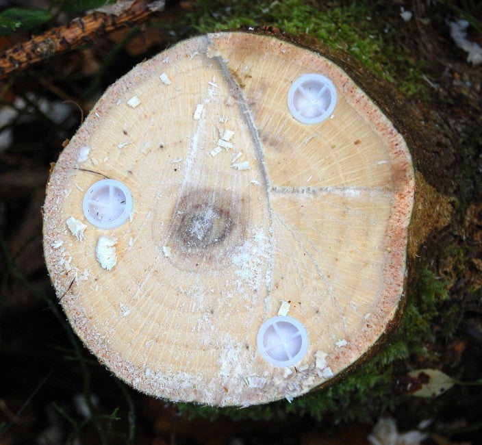 Eco Plug 2