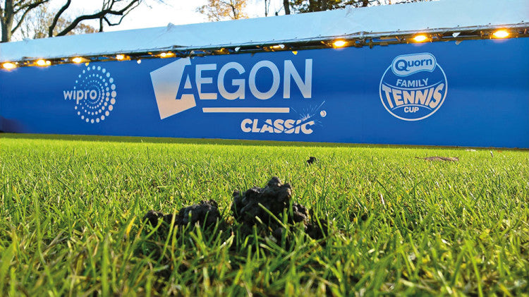 Edgbaston Priory Club Worm Cast on Centre Court