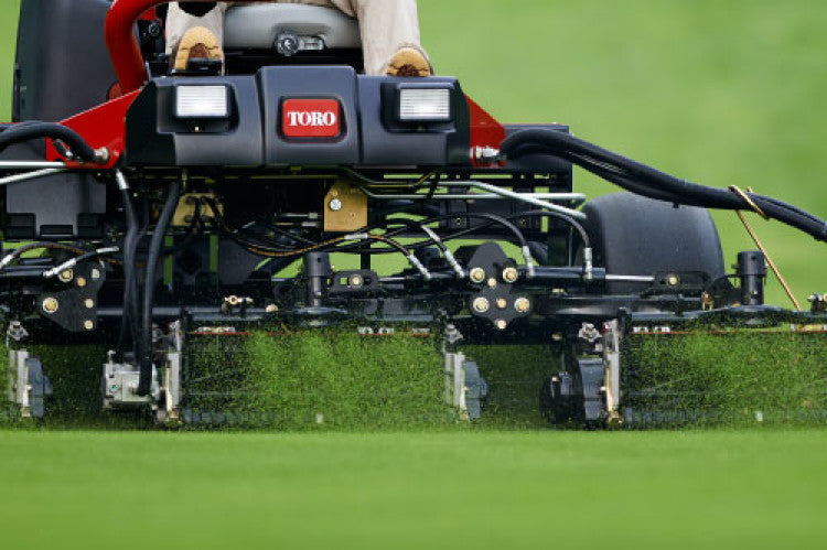 EdgeSeriesReels Images500x333-2