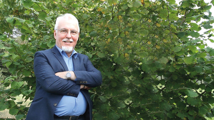 Frank Newberry landscape