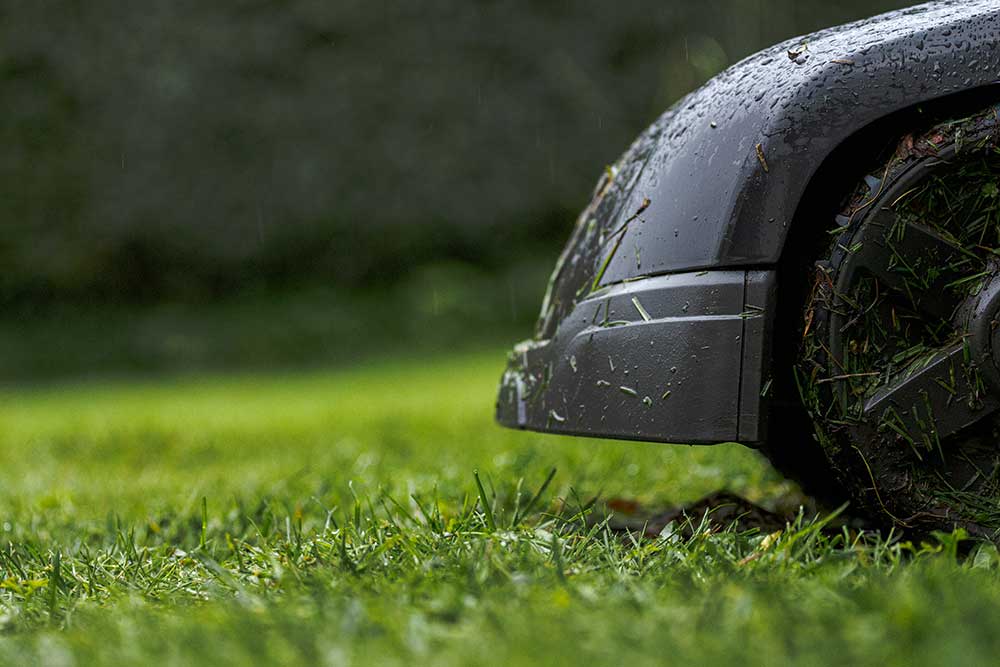 Sports Turf Agronomy Advice - January 2026