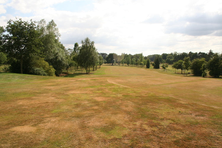 Golf Drought Image
