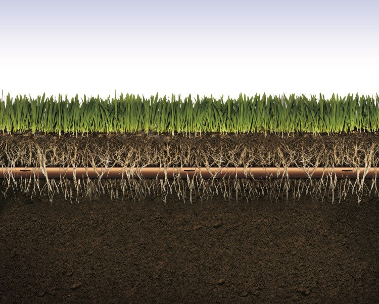 Grass Roots With XFS data tag