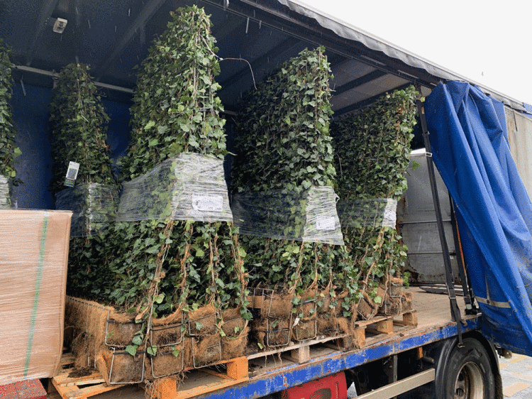 GREEN-SCREEN-DELIVERY.gif