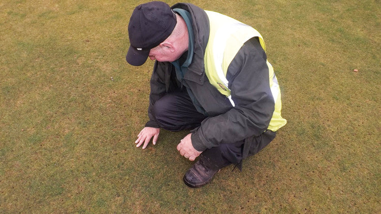 Greenkeeper assessing surface as it goes in to winter