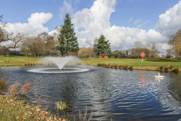 Ingestre-Park.gif