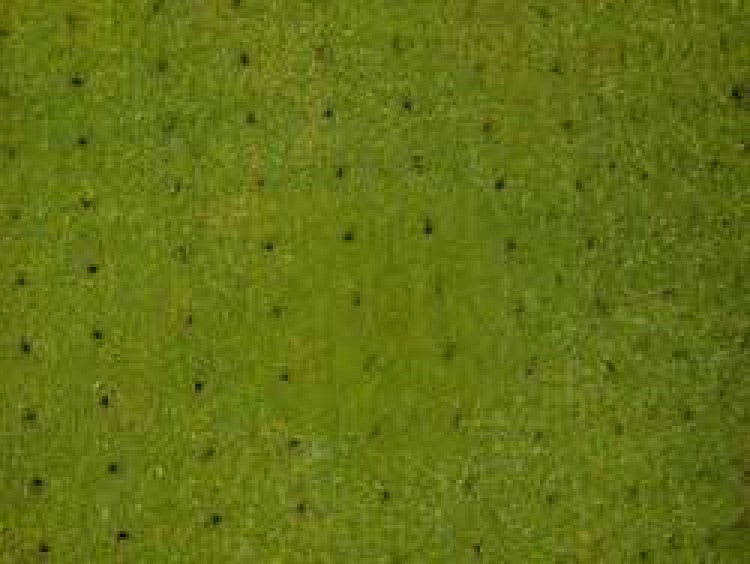 October Golf Diary 2015