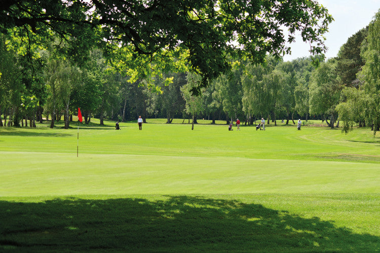 King'sLynnNEW ApproachingGreen