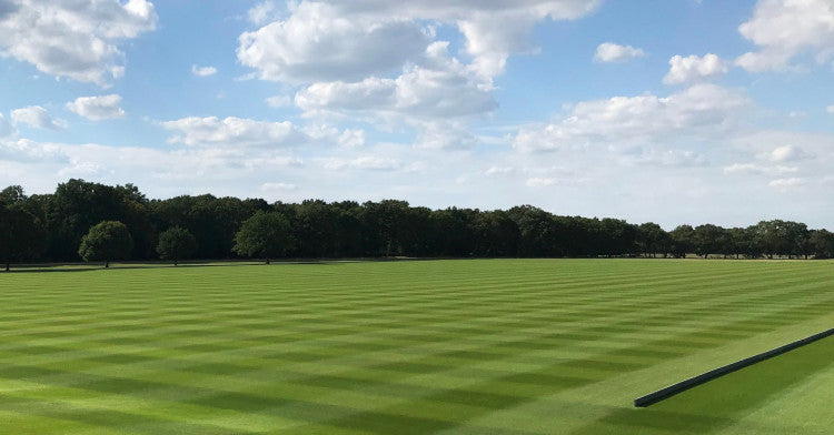 KP Billingbear Polo 1.jpg