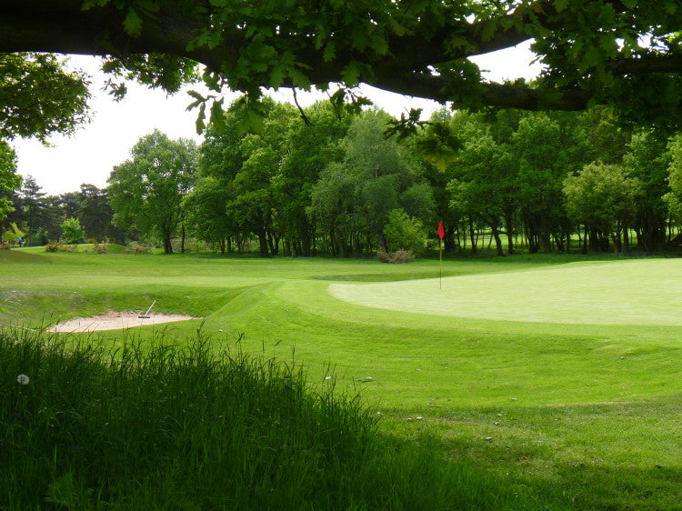 Looking Back From Behind The 6th