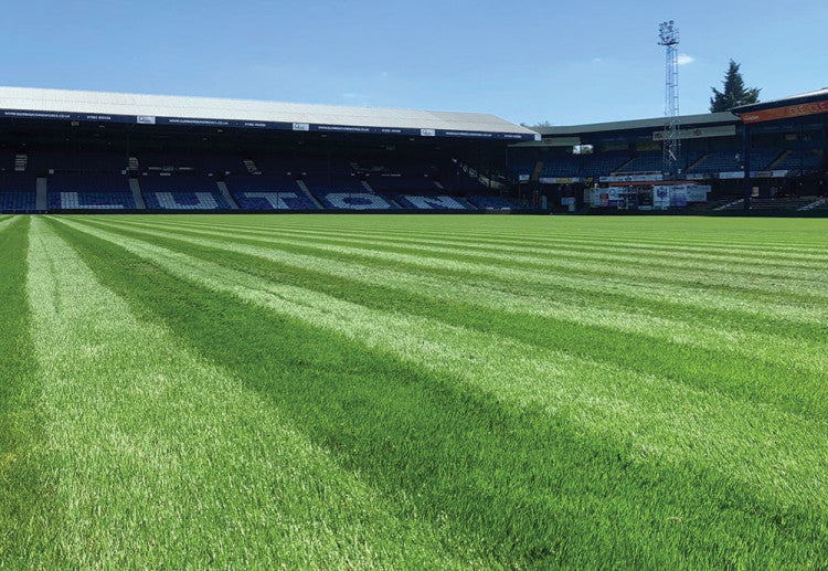 Luton-Town-FC_hybrid-surface.jpg