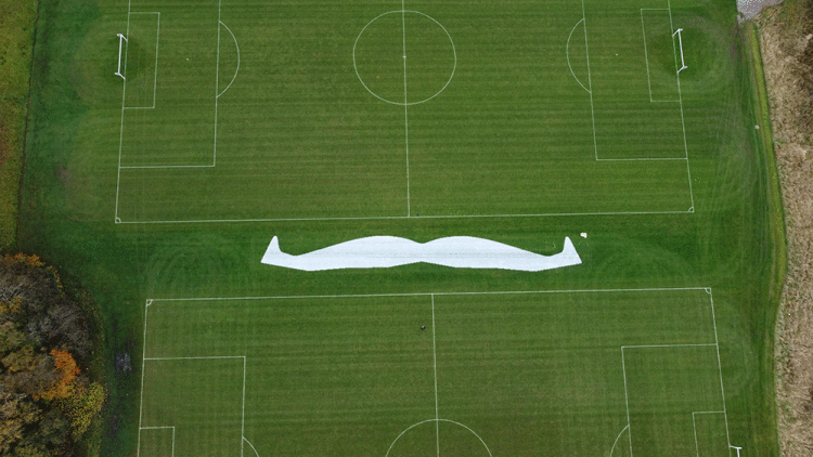 Movember-logo-2.gif