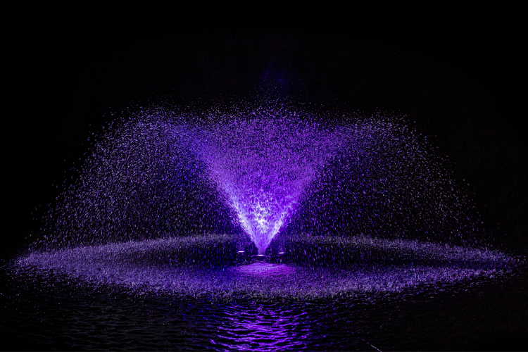 Otterbine RGBW lights.png