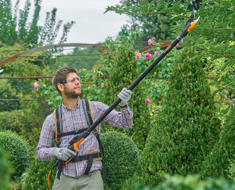 Pellenc Long Reach Prunion.jpg