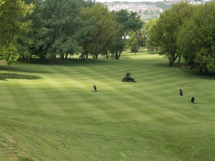 Phoenix FairwayMowing