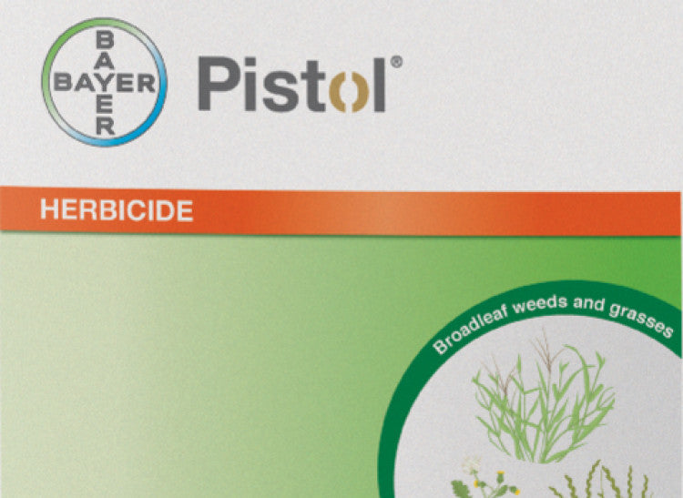 Pistol2