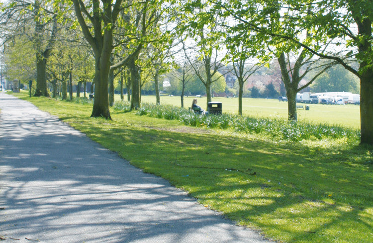 Pitchcare image for May product eBulletin.jpg