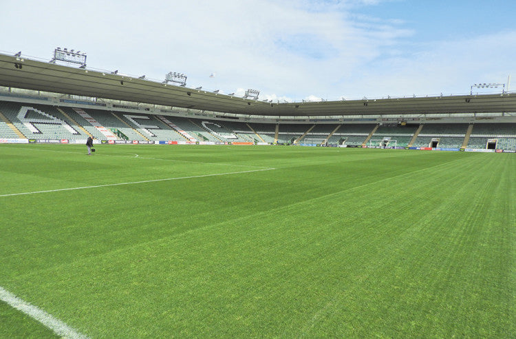 Plymouth-Argyle-FC Stand-2
