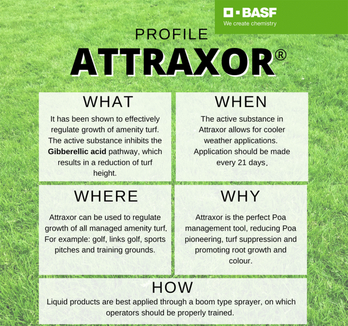 Profile-Attraxor-.gif