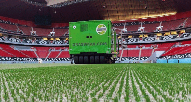 Qatar-World-Cup-Benefits-from-GrassMax-3.gif