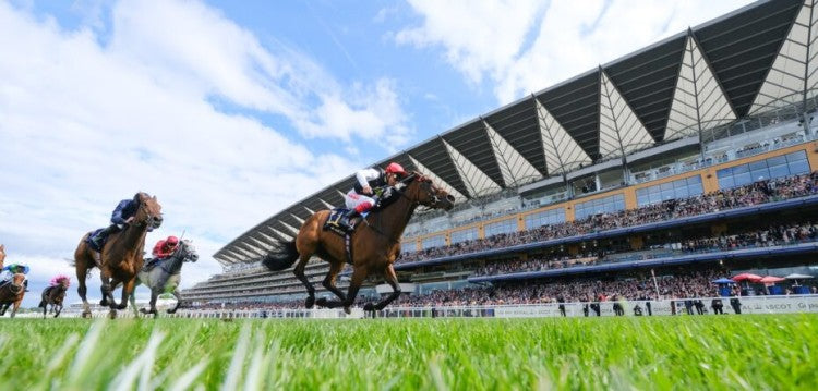 RCA_Royal-Ascot.jpg