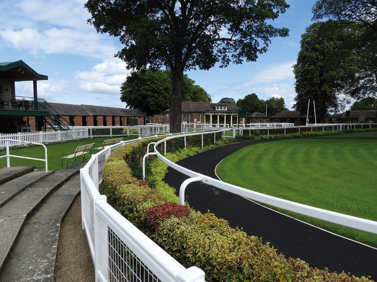 Ripon-Racecourse_parade-ring.jpg