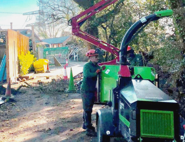 Rooted Tree & Landscapes-Landscape.jpg